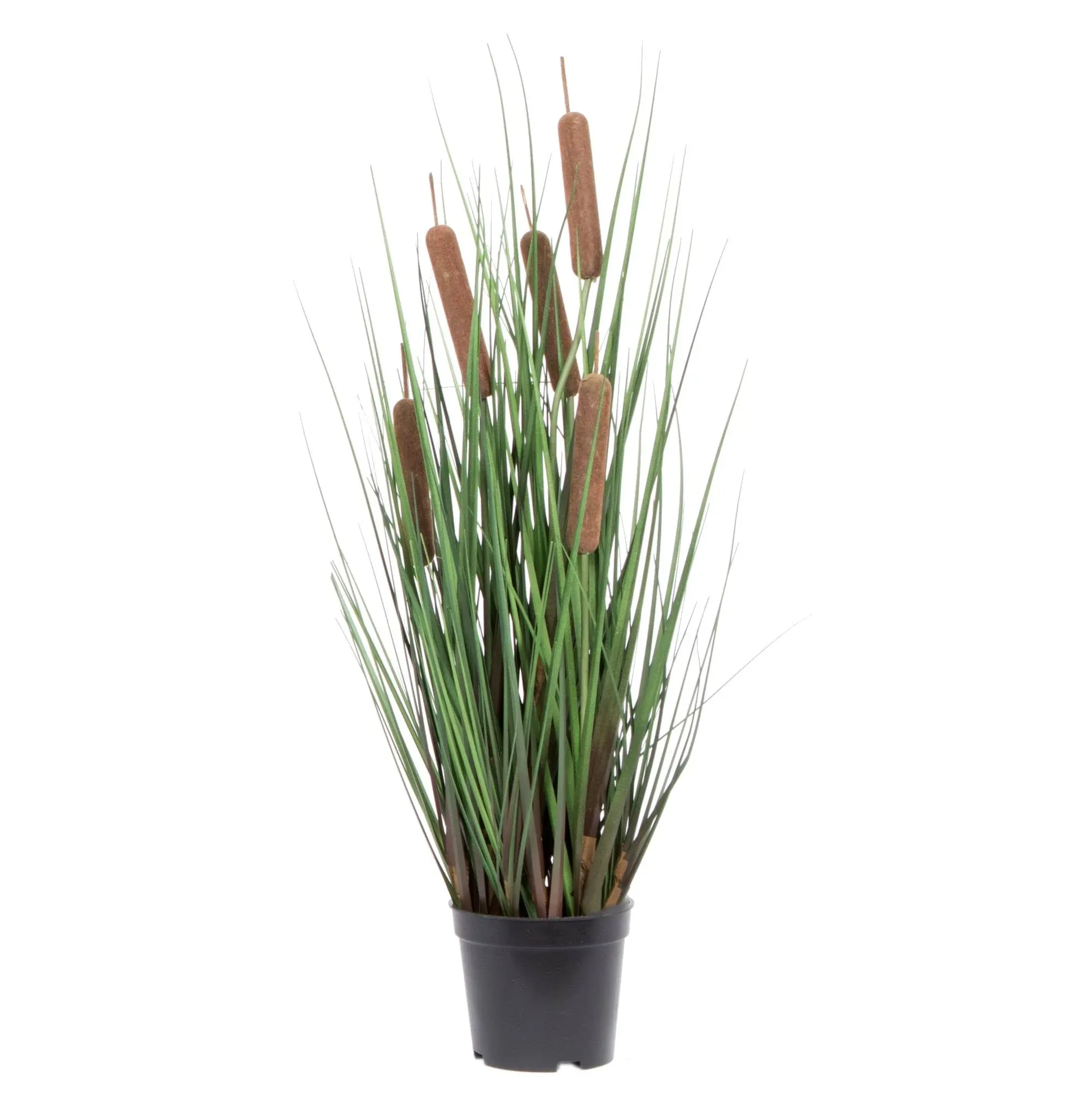 Vickerman 24" Everyday Artificial Potted Green Straight Grass and Cattails with Black Plastic Pot - Faux Grass Plant Decor - Home Or Office Indoor Greenery Accent