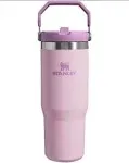 STANLEY 30 oz Stainless Steel IceFlow Flip Straw Tumbler Tulle