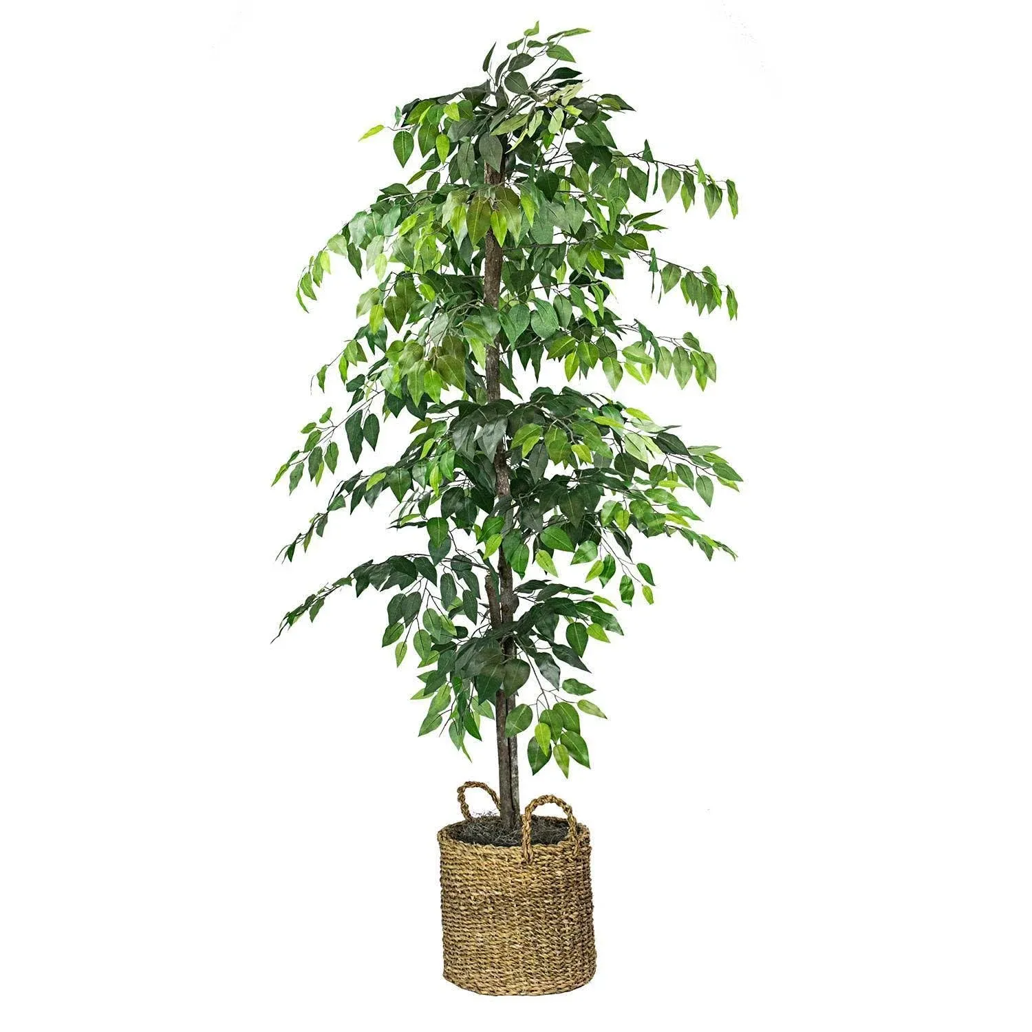 LCG SALES INC Artificial Ficus Tree in NativeBasket 6&#034;ft 72&#034;H x 24&#034; W in Brown