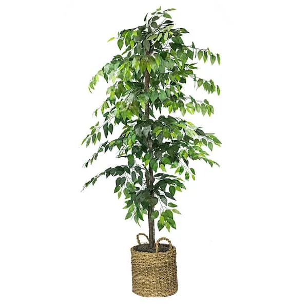 LCG Florals Artificial Ficus Tree in Basket