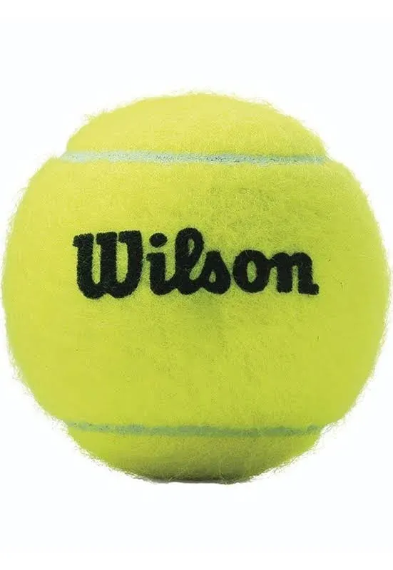 Wilson Championship Extra Duty Tennis Balls