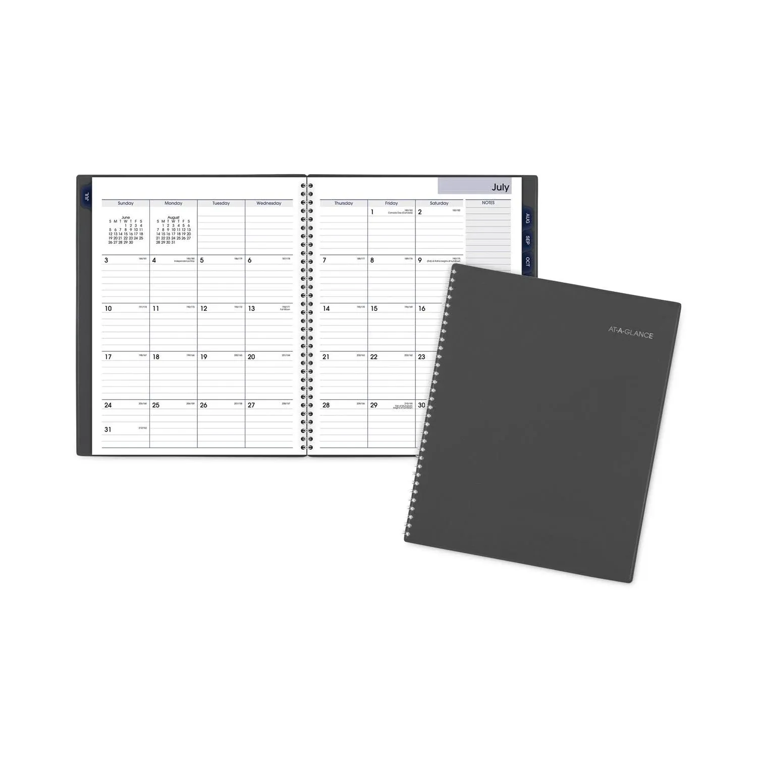 At-a-glance DayMinder Academic Monthly Desktop Planner 2024-2025