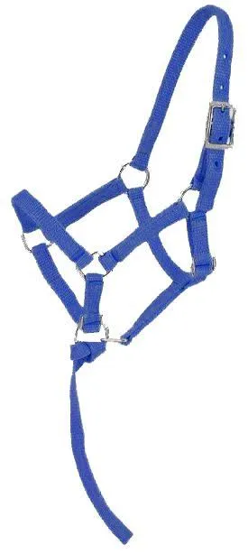 Tough 1 Nylon Foal Halter Royal Blue