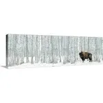 CANVAS ON DEMAND Bison Standing in Snow Among Poplar Trees in Elk Island National Park Alberta, Canada Canvas Wall Art Print by Richard Wear, Home Decor, Wildlife, Animals Artwork, 36"x12"