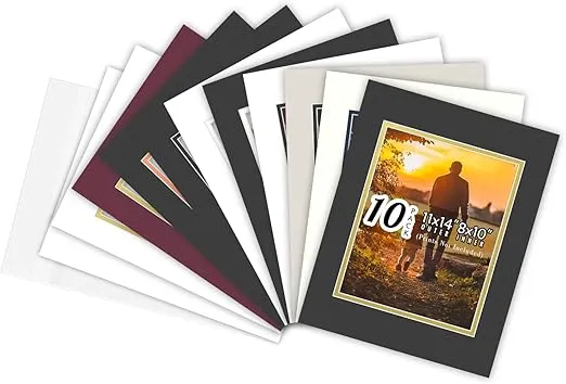 Golden State Art, Pack of 10 11x14 Double Picture Mats with White Core Bevel Cut for 8x10 Pictures + Backing + Bags, Mix Color