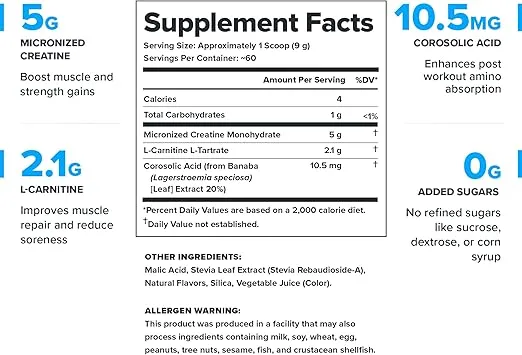 LEGION Recharge Post Workout Supplement - All Natural Muscle Builder & Recovery Drink with Creatine Monohydrate. Naturally Sweetened & Flavored, Safe & Healthy. 60 Servings. (Watermelon, 60 Servings)