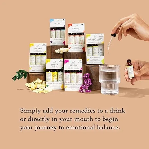 Bach Original Flower Remedies, Hope & Joy Kit, For Comfort & Optimism (Non-Alcohol Formula), Natural Homeopathic Flower Essence, Vegan, 3 x 10mL Droppers