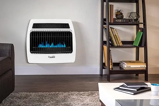 Dyna-Glo BFSS30NGT-4N 30,000 BTU Natural Gas Blue Flame Thermostatic Vent Free Wall Heater, White