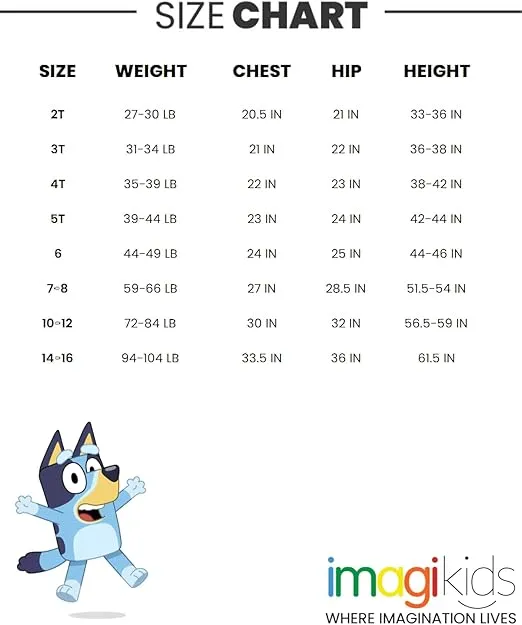 Bluey Bingo Girls Cosplay T-Shirt Dress and Leggings Outfit Set Toddler to Big Kid