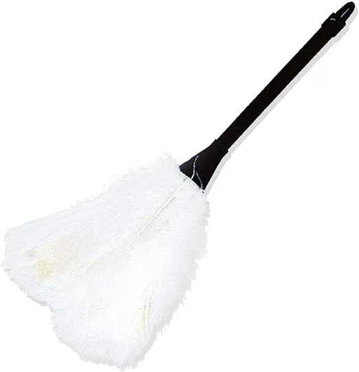 Forum Novelties Feather Duster (White) Accessory