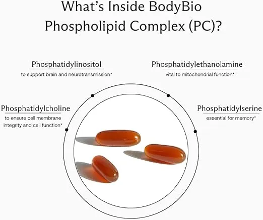 BodyBio Phospholipid Complex 100 Softgels - Cognitive Enhancer - Healthy Brain, Anti Aging and Cellular Support Supplement