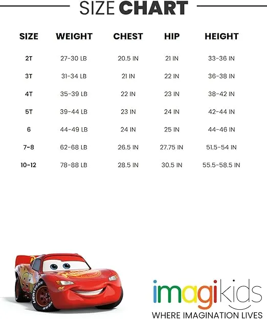 Disney Lion King Mickey Mouse Cars T-Shirt and Shorts Outfit Set Toddler to Big Kid Sizes (2T - 10-12)