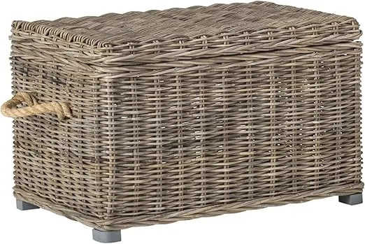 Safavieh Home Collection Salim Grey Rattan Storage Trunk