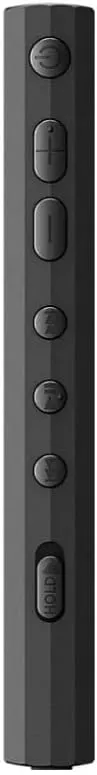 Sony NW-A306 Walkman A Series High-Resolution Digital Audio Player (Black) with Rugged Hardshell Case Bundle (2 Items)