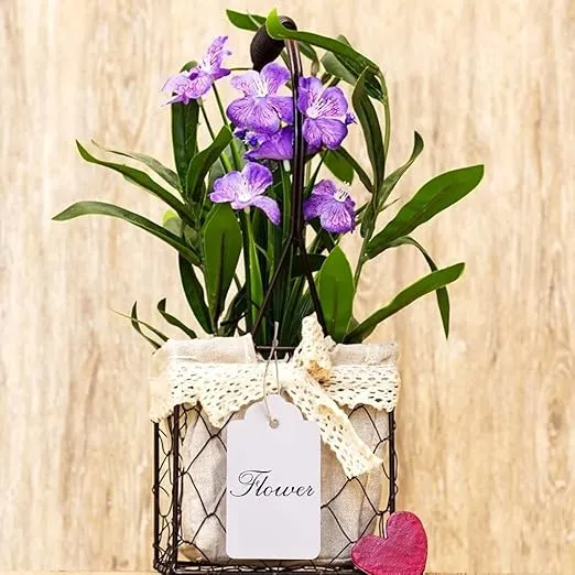 Paper Tags Gift Hang Tags with String 200pcs White